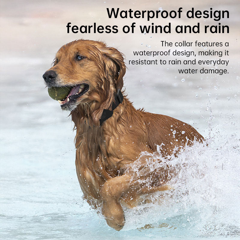 eprolo GPS pet tracker collar with waterproof design, long-range tracking, activity alerts, and Apple Find My compatibility.