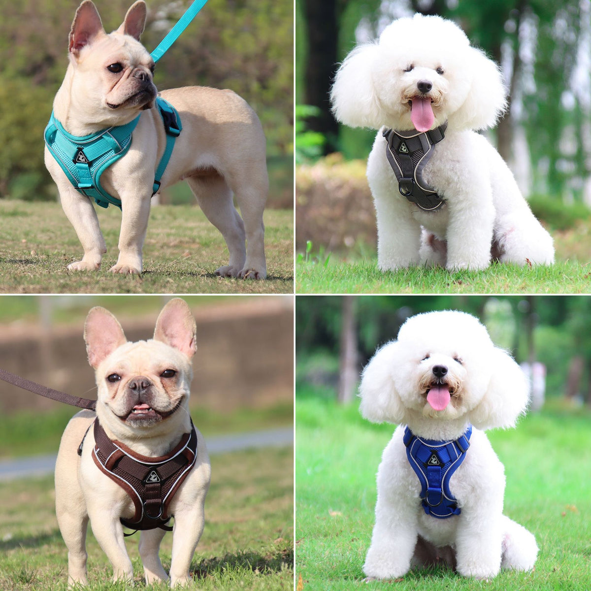 Reflective breathable cat harness vest in small size, worn by a cat, from eprolo, designed for comfort and safety during walks.