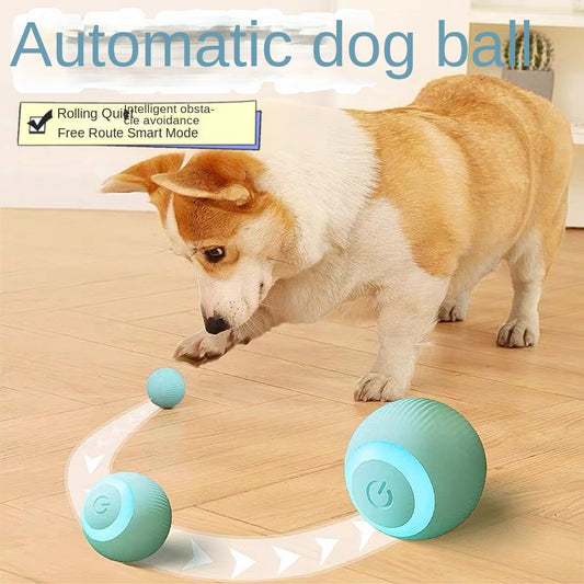 Durable eprolo pet cat toy with a smart rolling ball for self-entertainment and anti-boredom, bite-resistant and fun for cats.