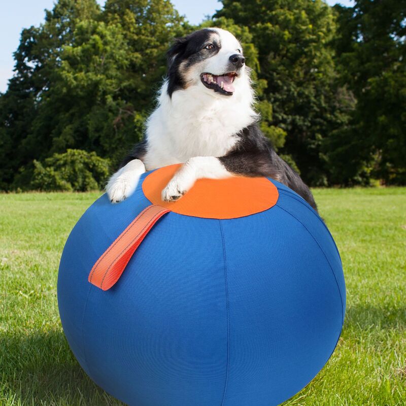 Eprolo indestructible dog chew ball, portable floating fetch toy for aggressive chewers, suitable for water and outdoor play