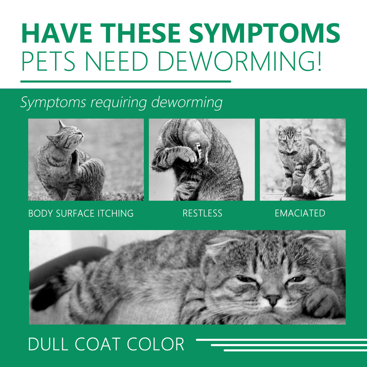 Eprolo pet deworming collar with waterproof design, flea and tick resistant, adjustable for small to large dogs and cats.