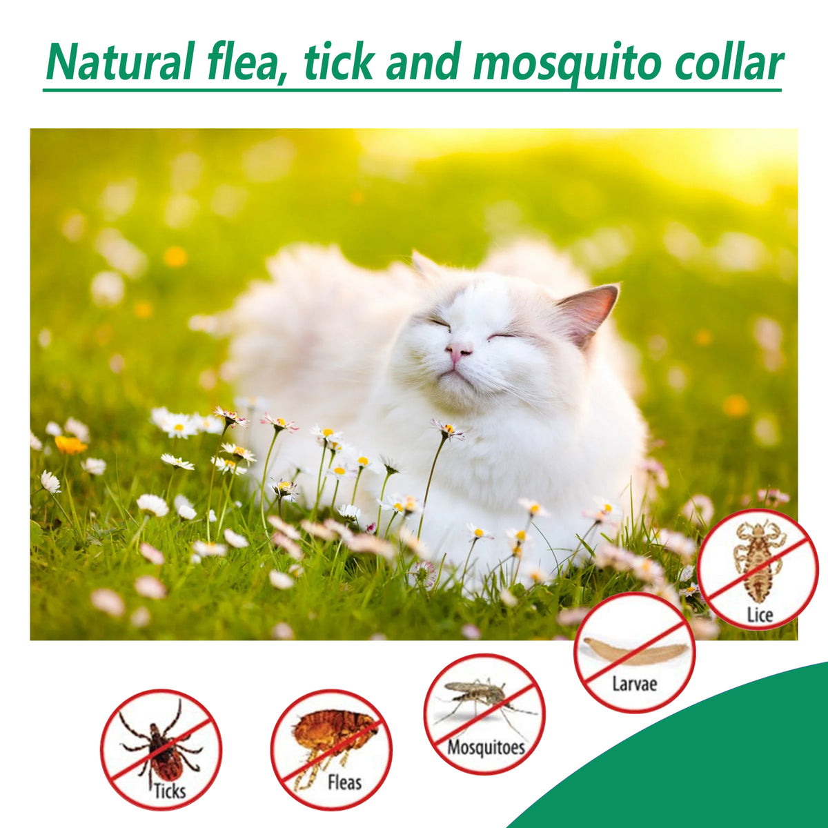 Eprolo pet deworming collar with waterproof design, flea and tick resistant, adjustable for dogs or cats.