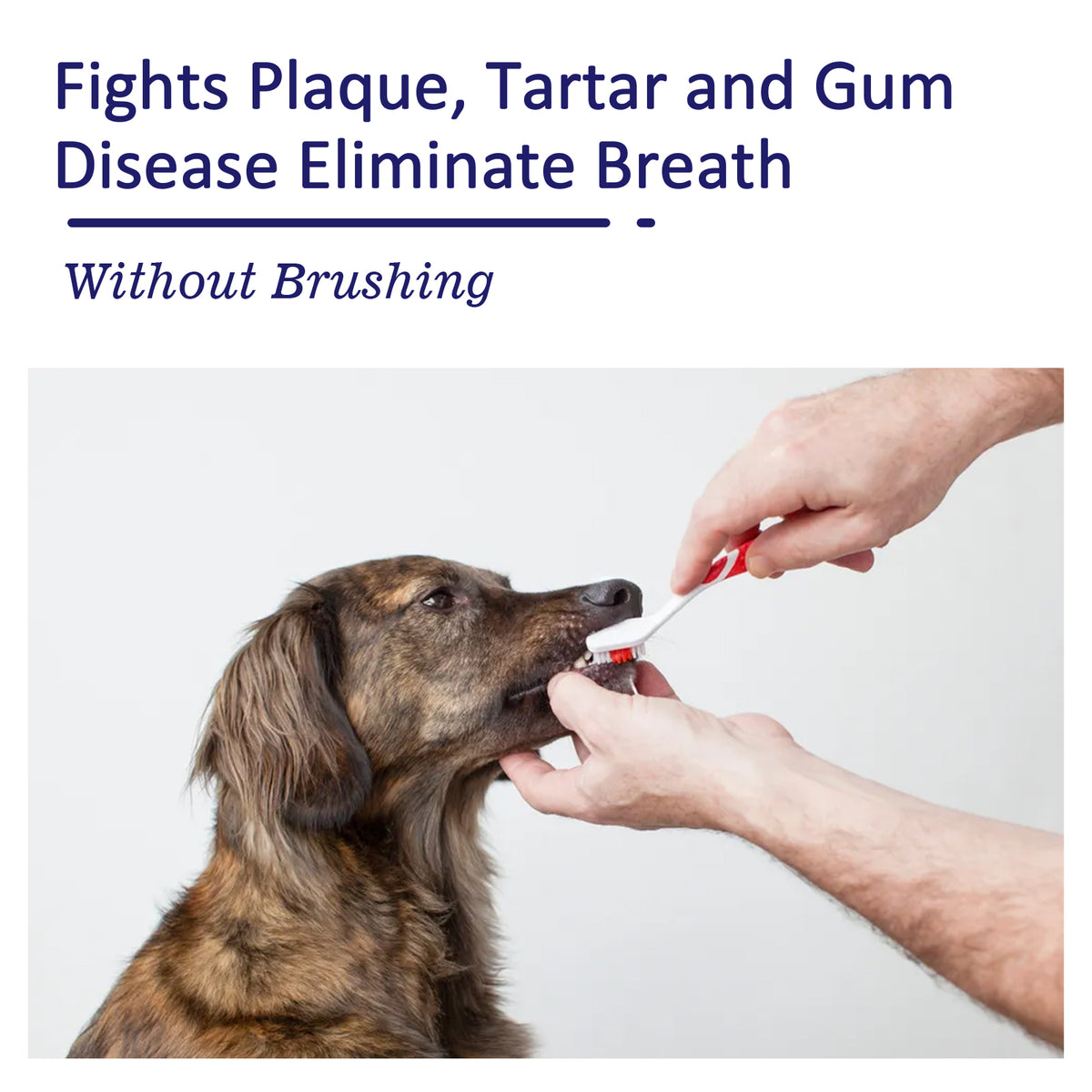 Pet mouth cleaning cream by eprolo for cats and dogs, with white teeth, tartar stain removal, and fresh breath.