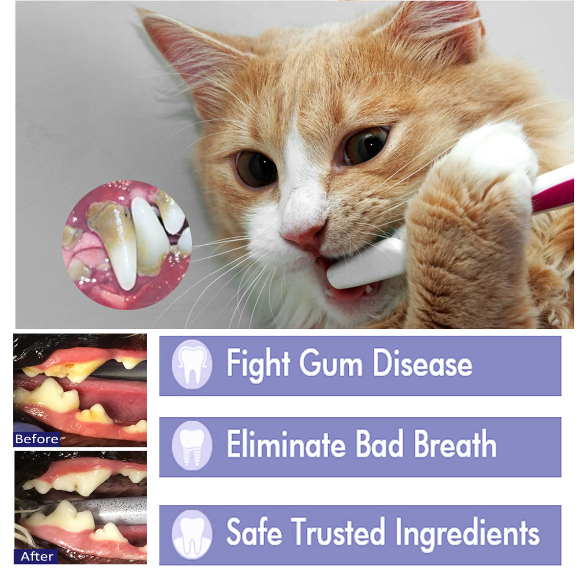 eprolo pet mouth cleaning cream for cats and dogs, showing the white teeth and tartar stains on pet's gums and teeth.
