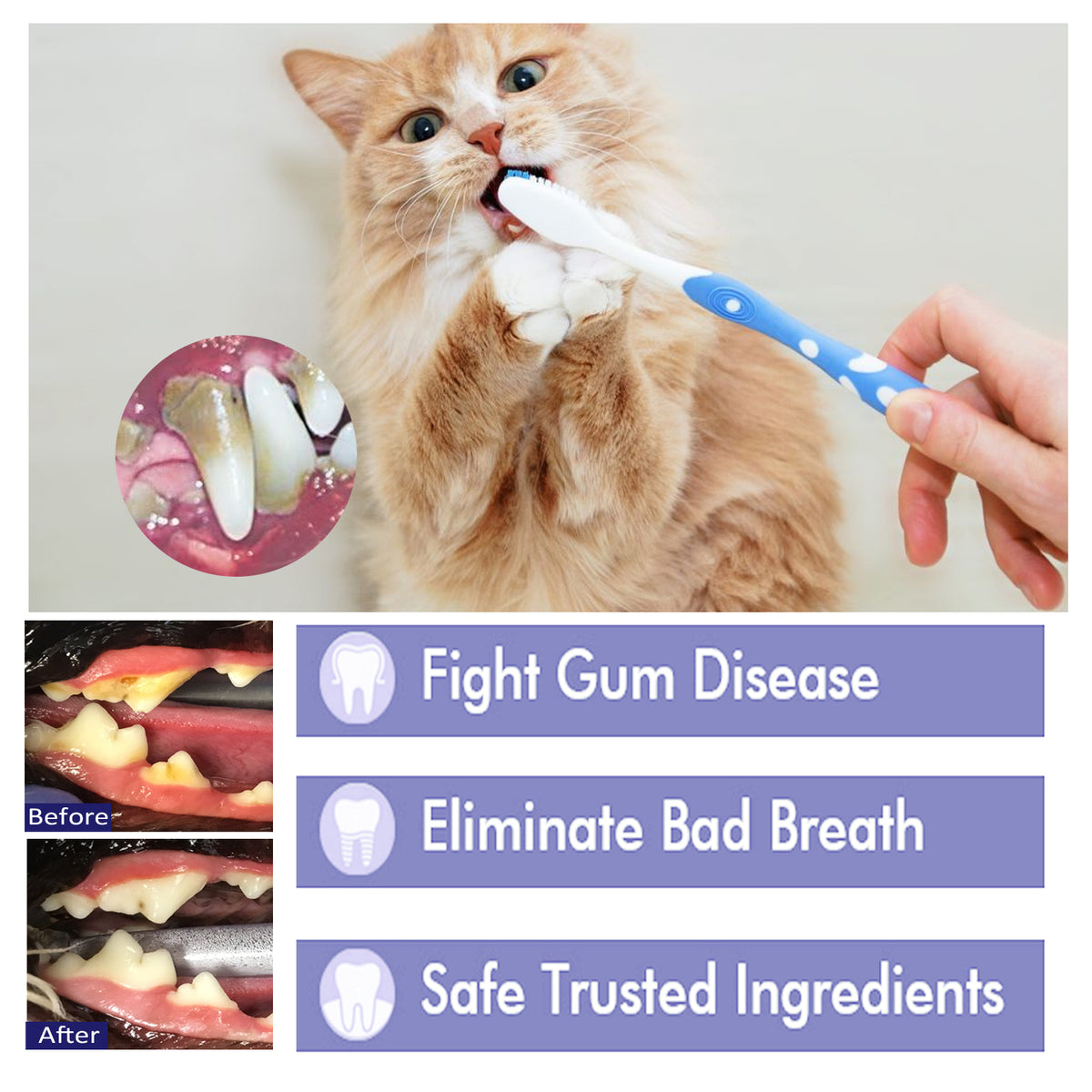 eprolo Pet V34 Toothpaste for dogs and cats, tartar and bad breath control, gum care, natural pet dental hygiene product
