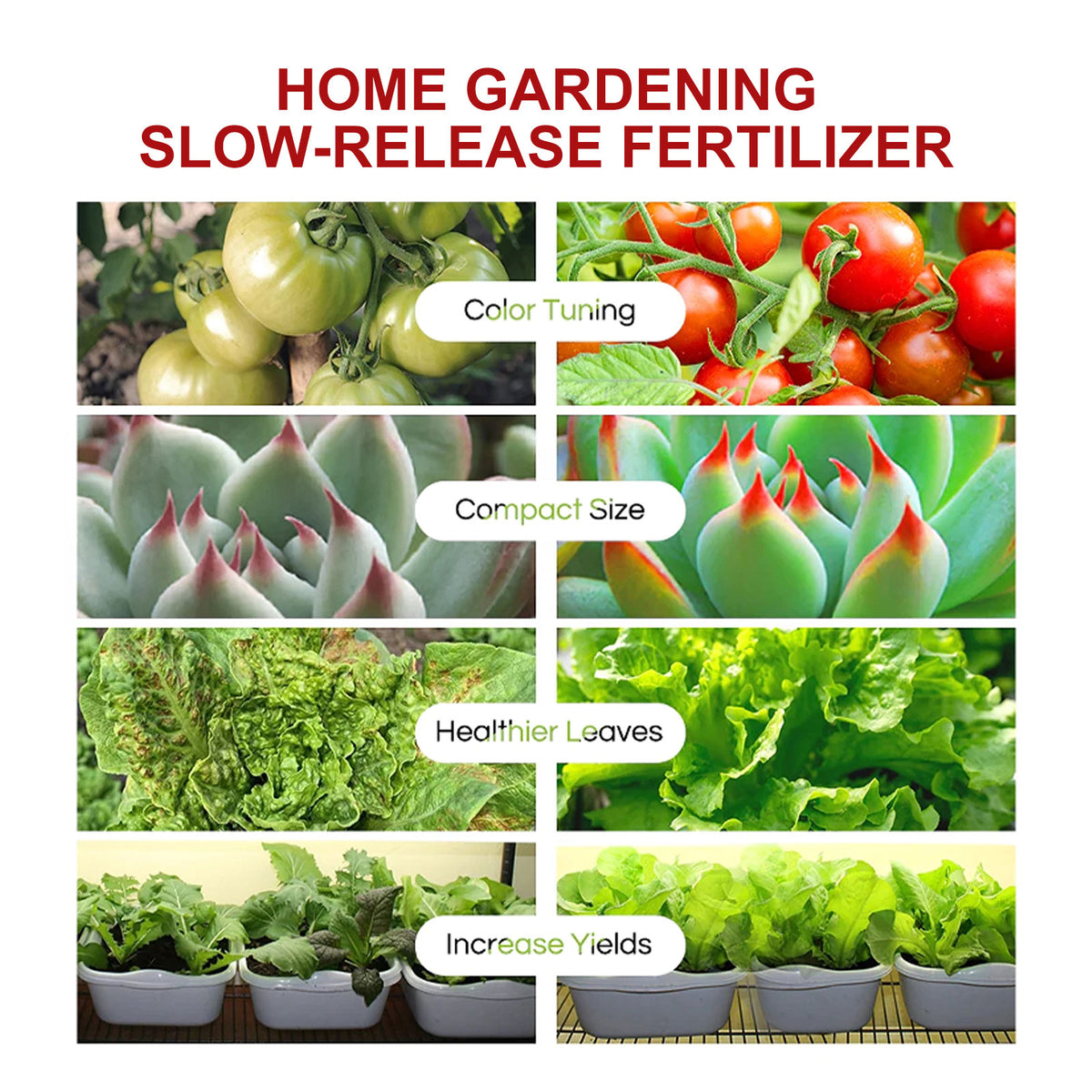 eprolo plant growth nutrition tablet for fruit and vegetable plants, promoting root development with sustained-release fertilizer