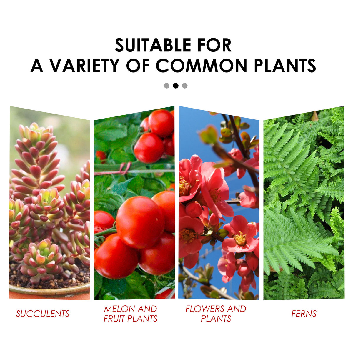 Eprolo plant growth nutrition tablet for fruit and vegetable plants, sustained-release root development and universal plant support.
