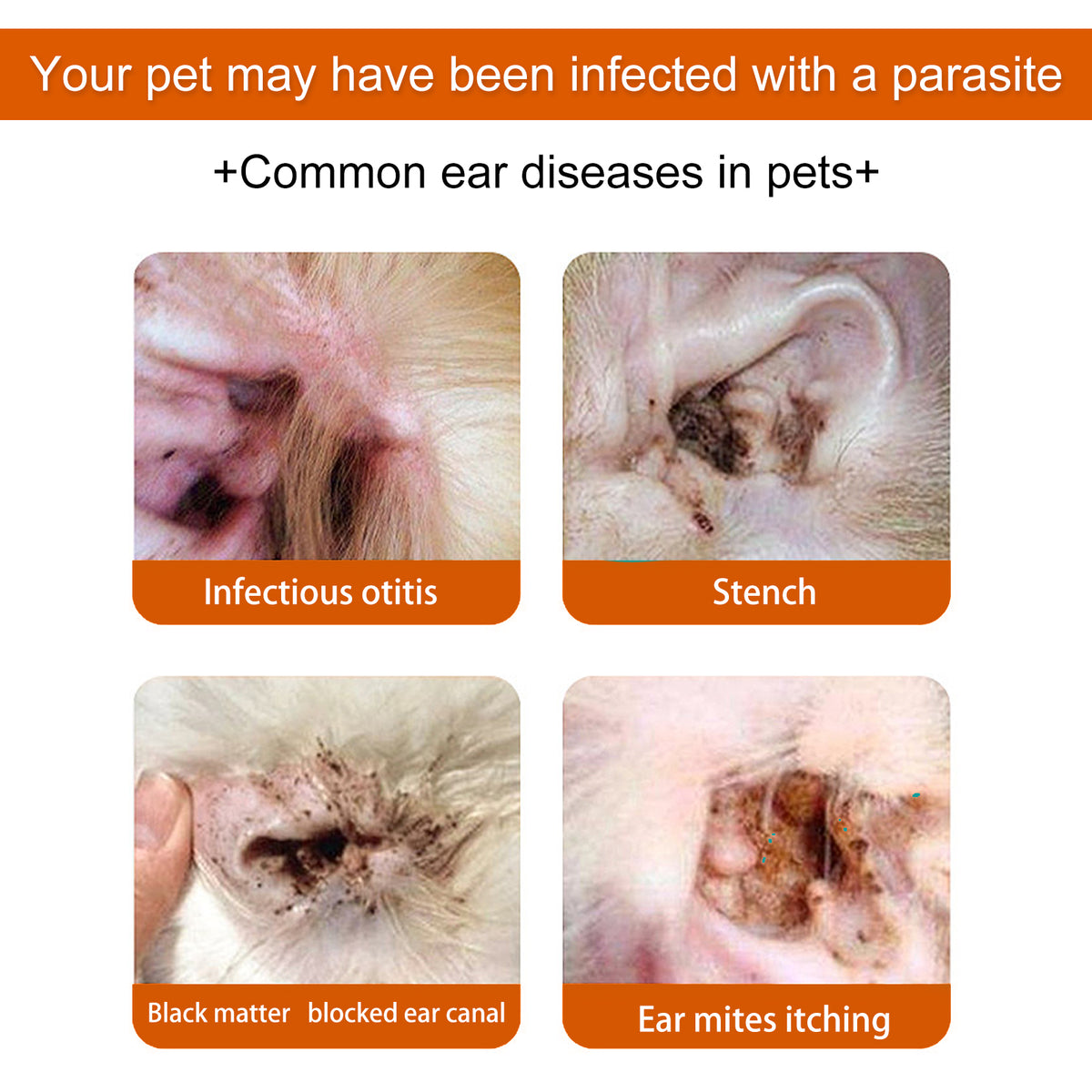 Eprolo Yegbong Pet Ear Wipes for cleaning, deodorizing, removing mites and earwax from dogs and cats' ears.