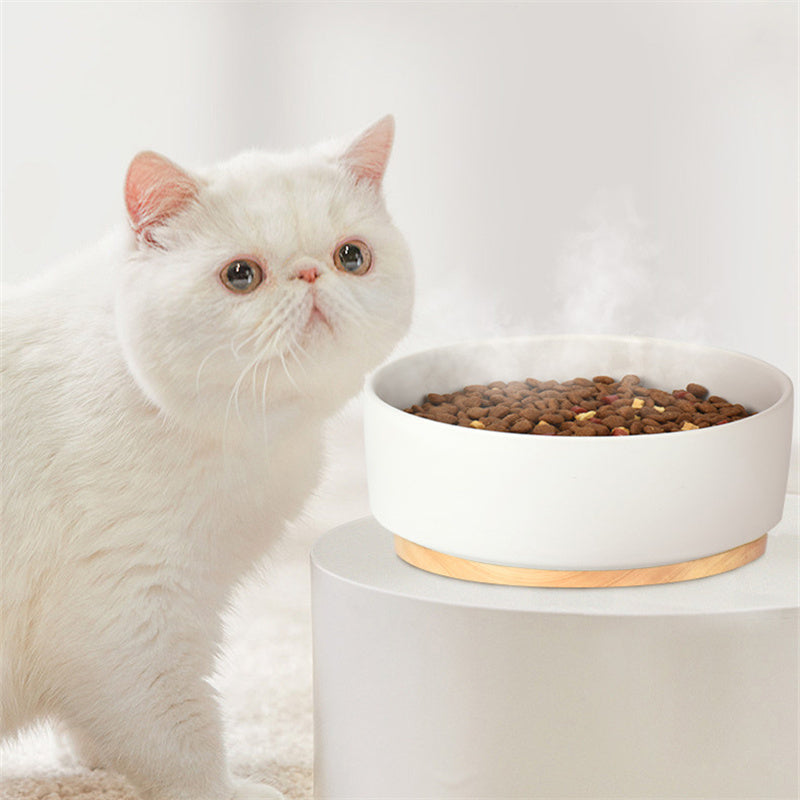 Eprolo pet heating bowl with thermostatic ceramic design, showing a warm water bowl for pets on a clean surface.