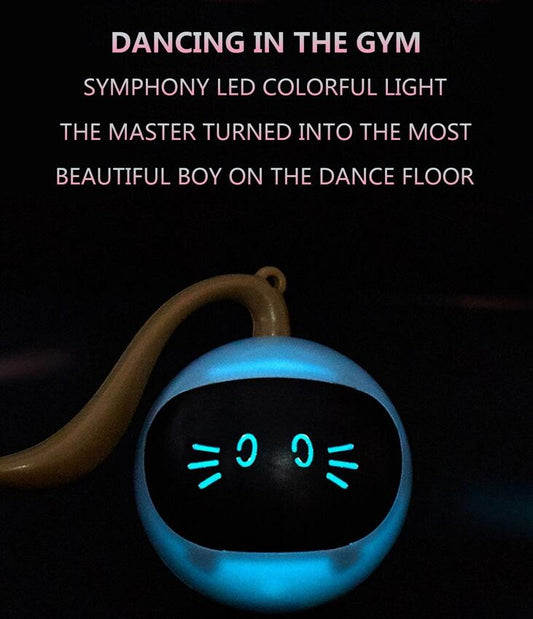 Eprolo Fofos Two Lucky Raccoon Magic Ball cat toy with LED light, automatic, electric, and fun for entertaining cats and relieving boredom.