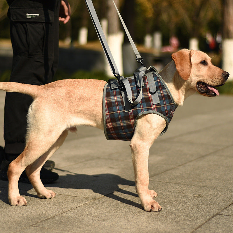 Eprolo pet dog leg support harness for post-surgery recovery and walking assistance on large breed elderly dogs.