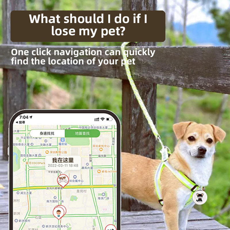 eprolo Pet Loss Preventer GPS tracker attached to a cat and dog collar for intelligent tracking and loss prevention.