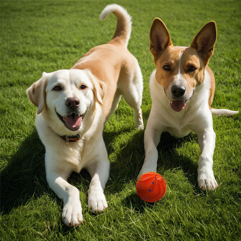 Interactive dog toy ball made of E-TPU material with bounce and spin features, designed for self-play and chewing durability.