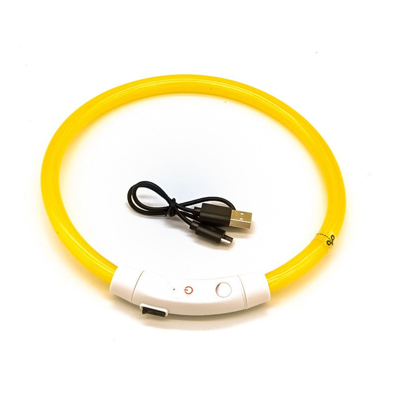 Eprolo luminous LED dog collar with USB charging, visible in a close-up showing the illuminated pet neck ring for night safety