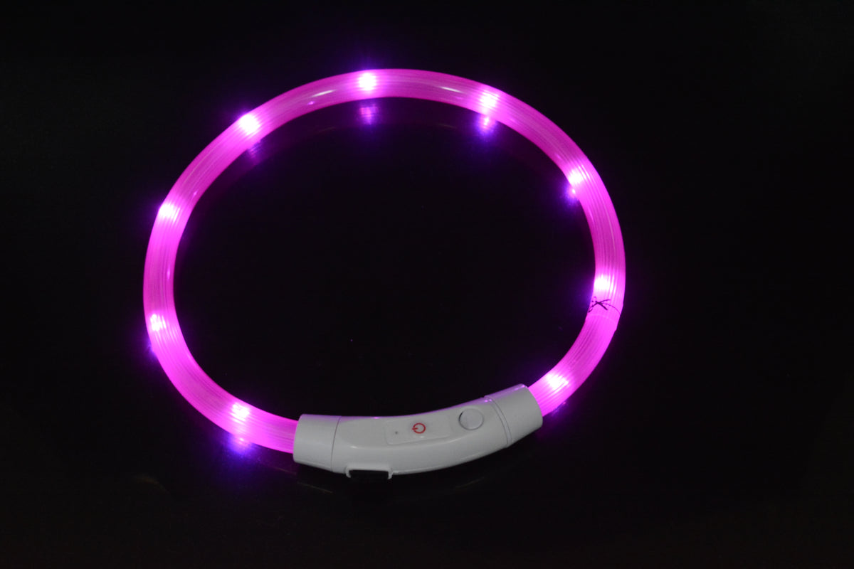 Eprolo luminous LED dog collar with USB charging, adjustable pet collar with bright glow for nighttime visibility