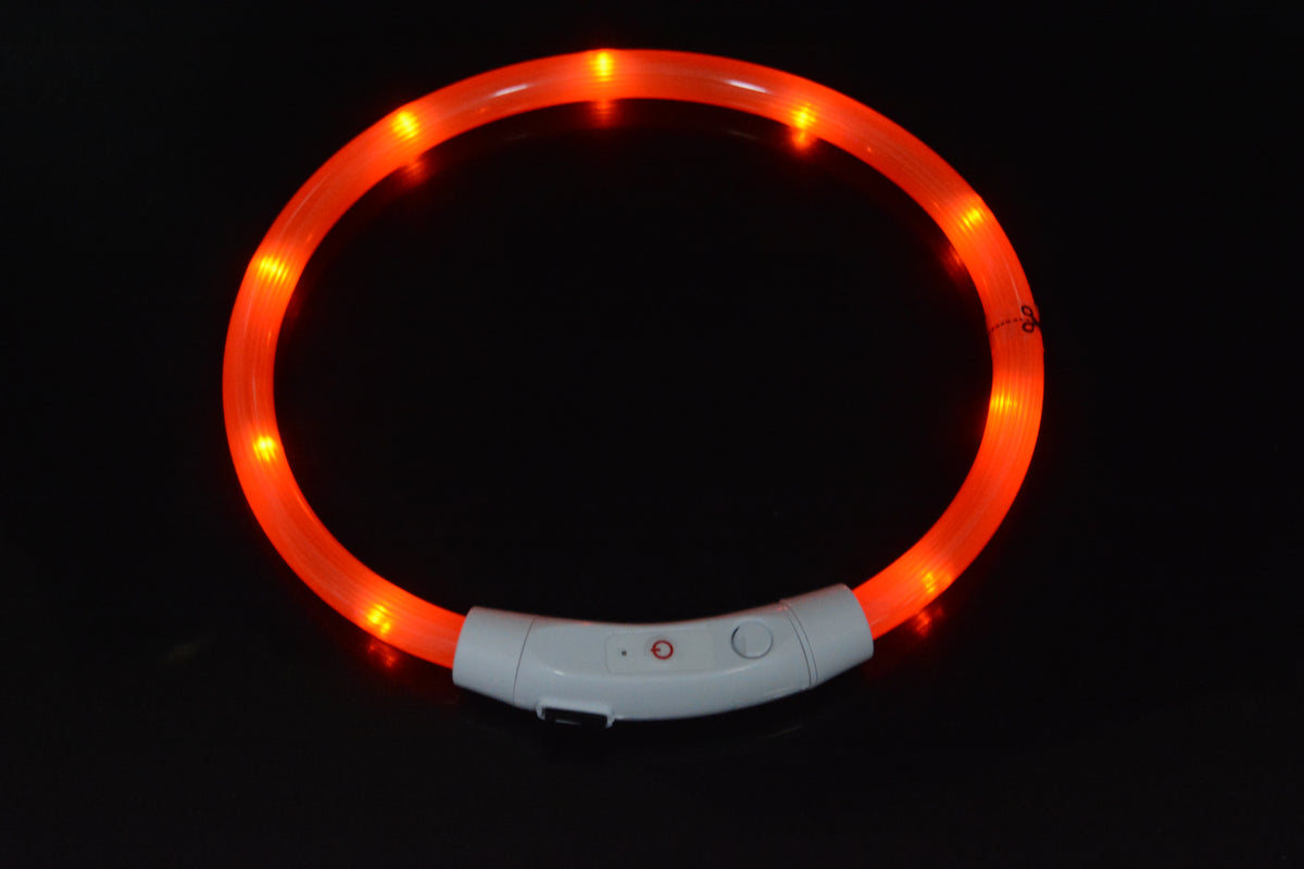 Eprolo luminous LED dog collar with USB charging, bright safety neck ring for pets, visible in low light conditions