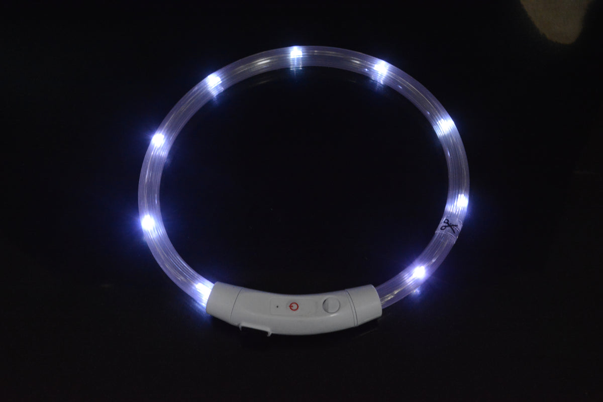 Eprolo luminous LED dog collar with USB charging, bright glow, adjustable neck ring for visibility during walks at night.