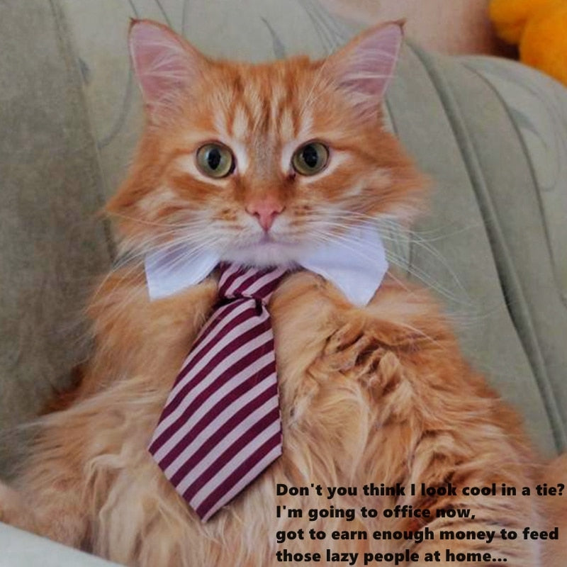 Cute Pet Ties, Dog Collar Cat Collar, Pet Bow Ties, Dog Tie, Smart Looking Pet Costume - American Smart