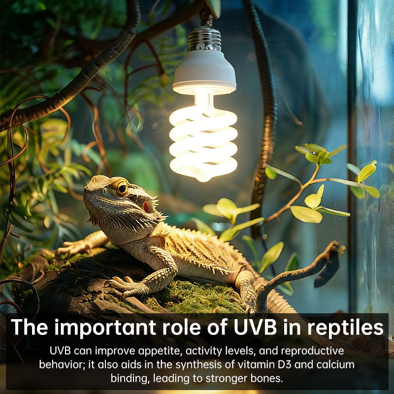eprolo UVB 5.0 10.0 reptile heating lamp with calcium-enriched 13W/26W UVB rays for turtles, lizards, and snakes