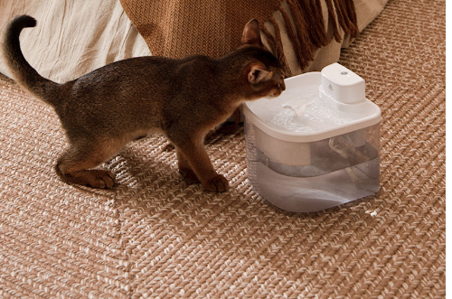 Eprolo wireless cat water dispenser with large capacity, automatic circulation, and silent operation for pets.