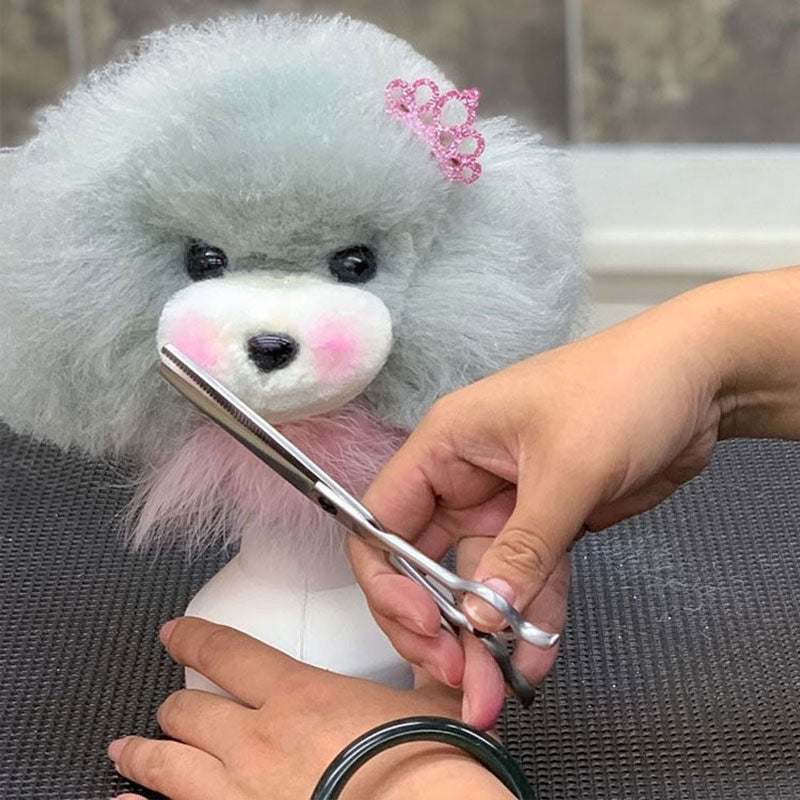 Professional dog grooming training head by eprolo, beginner pet styling and fur practice model with realistic dog features.