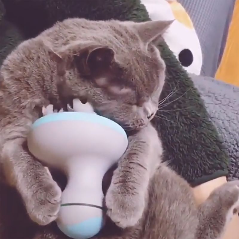 eprolo Pet Intelligent Cat Massager with waterproof electric dragon claw design, 3D head rotation, and omnidirectional massage features