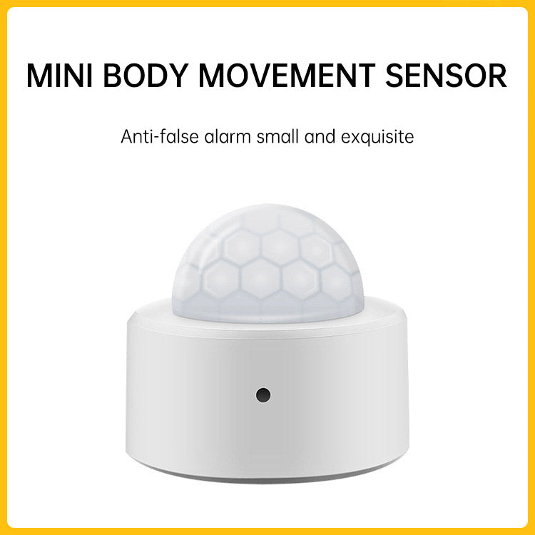 eprolo graffiti Zigbee infrared sensor with magnetic emergency button, detects human movement, temperature, and humidity for security system
