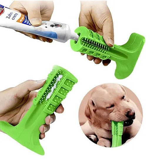 pet-teether-toothbrush-1