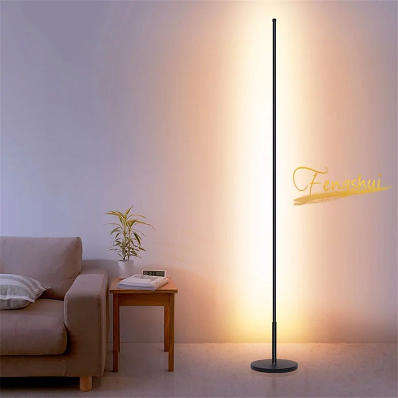 Modern Dimming LED Floor Lamp
