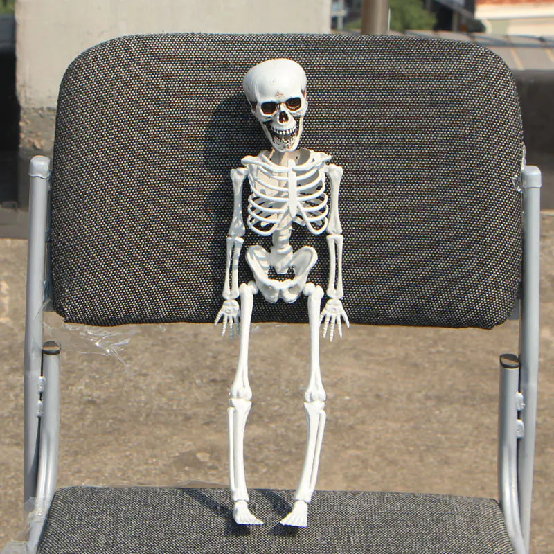 Realistic Skeleton Model for Halloween Decoration