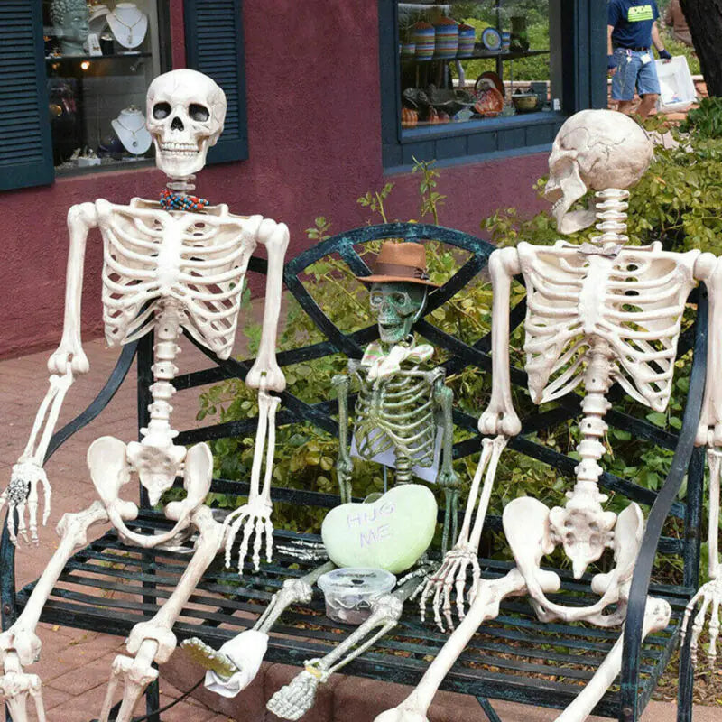 Realistic Skeleton Model for Halloween Decoration