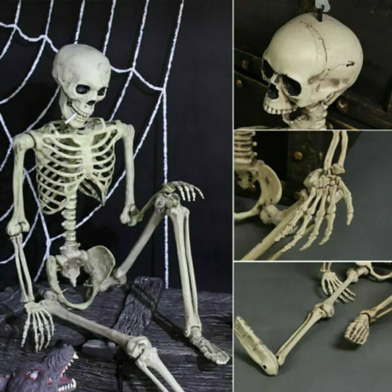 Realistic Skeleton Model for Halloween Decoration