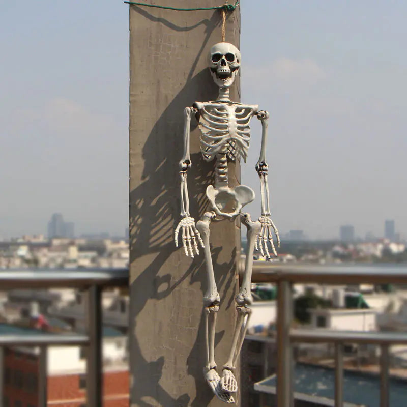 Realistic Skeleton Model for Halloween Decoration