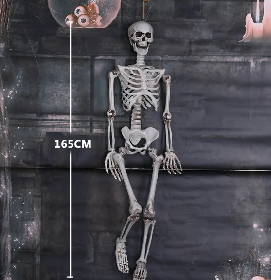 Realistic Skeleton Model for Halloween Decoration
